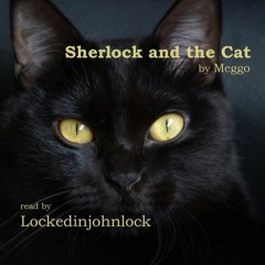 Sherlock and the Cat by Meggo