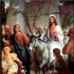 محير احد الشعانين