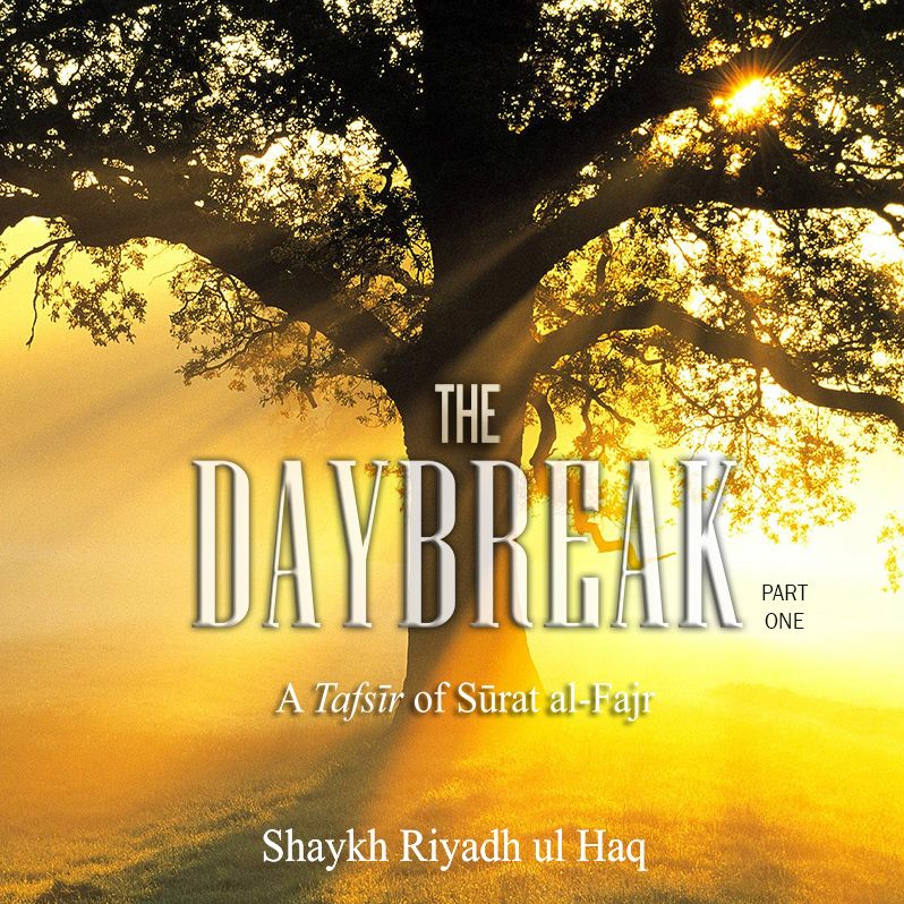 Shaykh Riyadh ul Haq