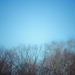 Robert Babicz - Winter Sun (beta)