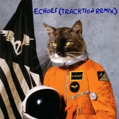 Klaxons (steve Aoki) - Echoes (Remix Teaser) TRACKTION remix