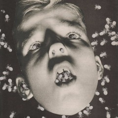 El Velcro (Maqueta 2013)