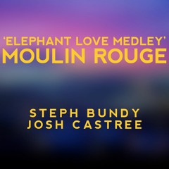 'Elephant Love Medley' Moulin Rouge (Cover)