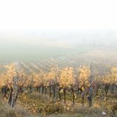 KzumB - Reihenhaus (prod. by Tracksel)