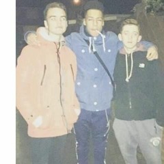 president T  - T ON THE WING