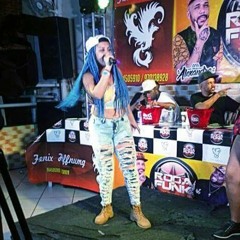 === MONTAGEM MC RIT TODA HORA 2017 ( ( ( DJ FABIO ) ) )