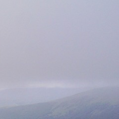 Lost In The Fog