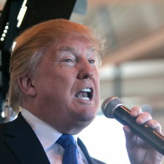 Le Billet D'humeur Donald Trump À La Maison Blanche