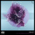 Artwork for Of The Trees & Cristina Soto - Heavy [Infusion 01/12]