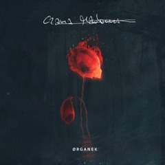 Organek - Czarna Madonna