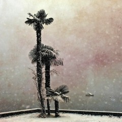Tropical Beta