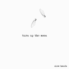 Turn Up The Moon