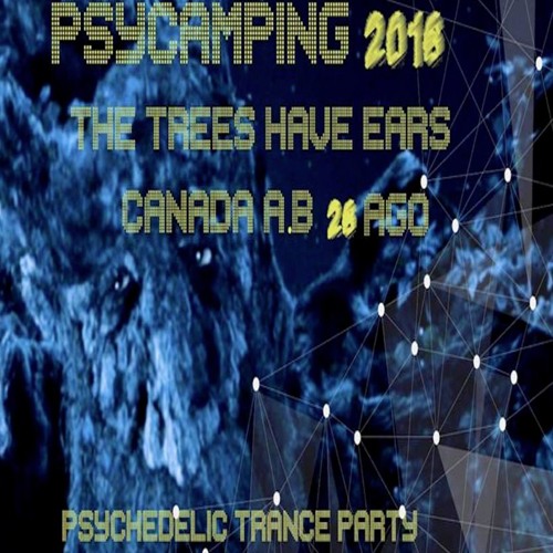 PsyCamping16