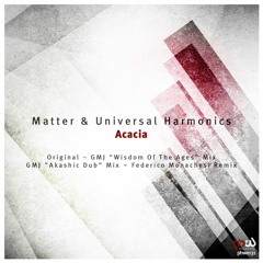 Matter & Universal Harmonics - Acacia (Federico Monachesi Remix) [PHWE131]