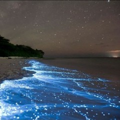 Chillwave