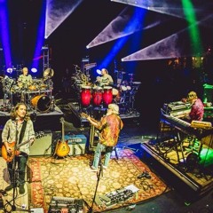 Live Music & Sounds