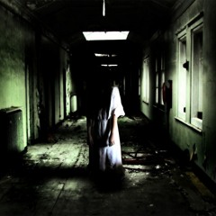 Shazko - Piso menos uno