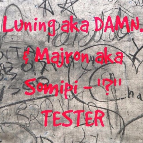 Luning aka DAMN. & Majron aka Somipi - "?" TESTER