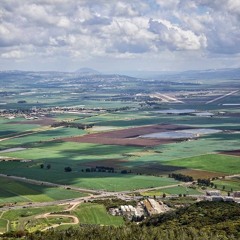 The Valley At Megiddo