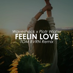 Waveshock X Piotr Wiater - Feelin' Love  (TOM BVRN Remix)(Free Download)