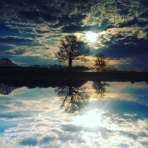 DLA Acoustic - #5 Темная Вода (Inside The Water)