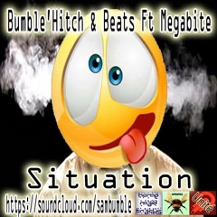 Bumble Hitch & Beats FT Megabite - Situation