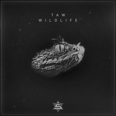 Taw - Wildlife