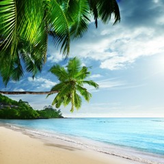 Tala Al Badru Alayna