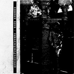 Divorce Ring // EQUALITYISAFALSEGOD split (excerpt)