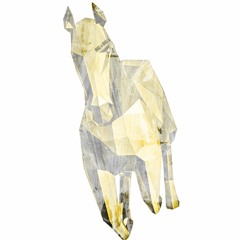 ANO (hosted by ROJAS)