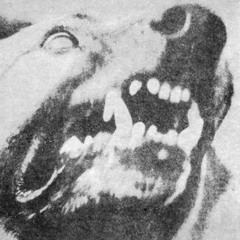 my mind folds onto itself