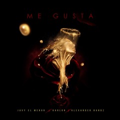 Me Gusta Feat. Javy El Menor & Alexander Bandz