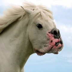 Type Of Pony - Rich Homie Quan X Ginuwine (Kreiate X Drezli)