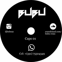 MIX BUBU (VIVO) 2017 HOUSE,EDM,PROGRESSIVE