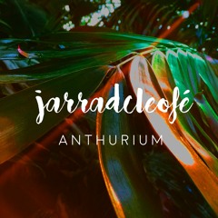 jarradcleofé - anthurium 🌱🌱🌱