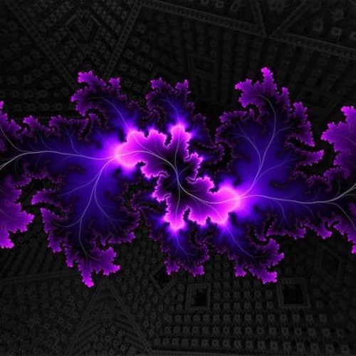 Demo. Hoangdung270117. SetLits.