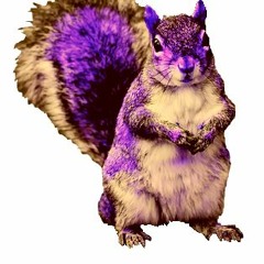 A.D.H. Hey look a squirrel