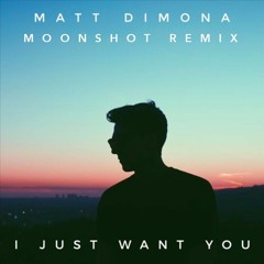 Matt DiMona - I Just Want You (Moonshot Remix)