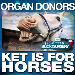 Ket Is For Horses - Organ Donors (Joey Riot Vs Hyper Activ Remix) PREVIEW