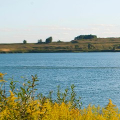 Carpathiana - Черв’ячок