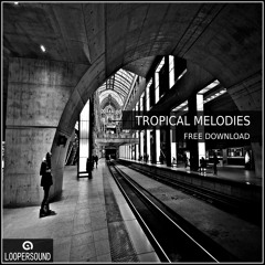 Tropical Melodies (Sample Pack in Free Download) Check in Description