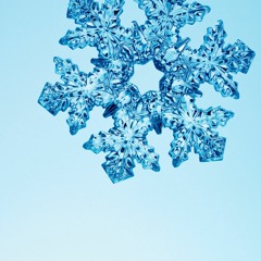 Untitled-7