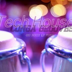 Conga Grooves - Tech House 2017 -