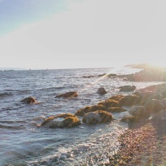 The Low Key Sessions- Hallelujah, Let me in (cover)