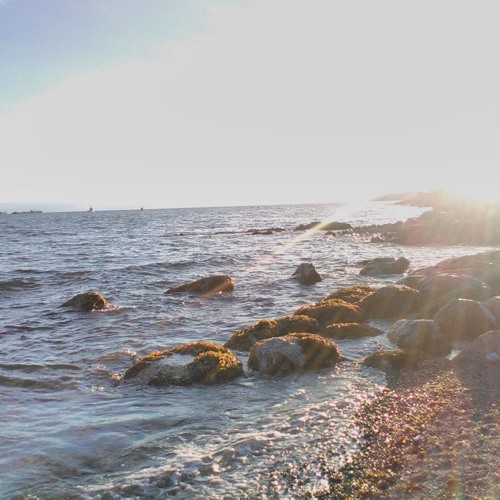 The Low Key Sessions- Hallelujah, Let me in (cover)