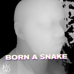 P.O.S - "Born A Snake"