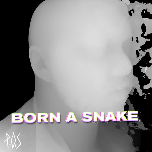 P.O.S - "Born A Snake"