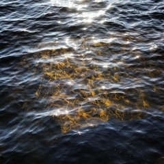 Ambient, chill