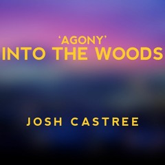'Agony' - Into The Woods