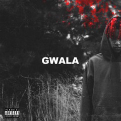 Michael Williams - Gwala